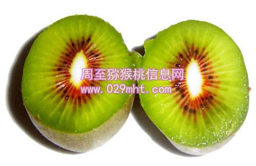 批发<a href=http://www.summer2018.cn/mht/hongxin/ target=_blank class=infotextkey />红心PG国际猕猴桃</a>