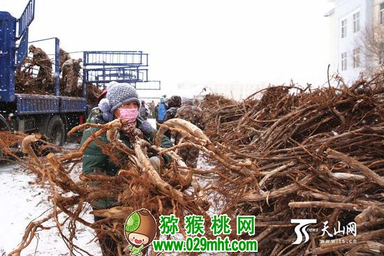 PG国际官方网站图片