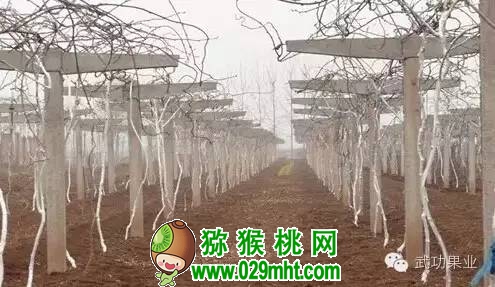 PG国际官方网站图片