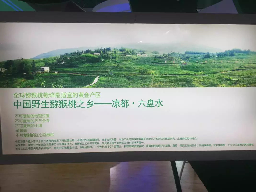 PG国际 8c2f6