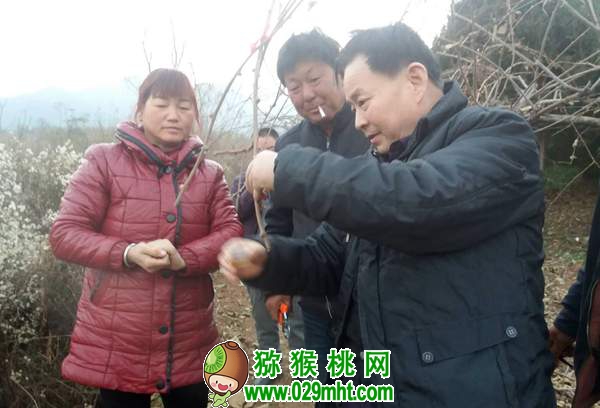 段眉会同志荣获2011—2013年度全国农渔业丰收奖贡献奖