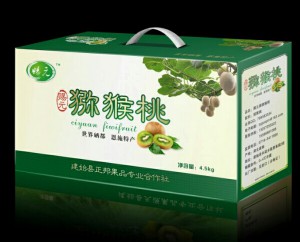 PG国际官方网站图片
