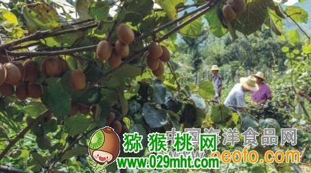 PG国际官方网站图片