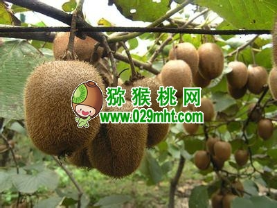 PG国际官方网站图片