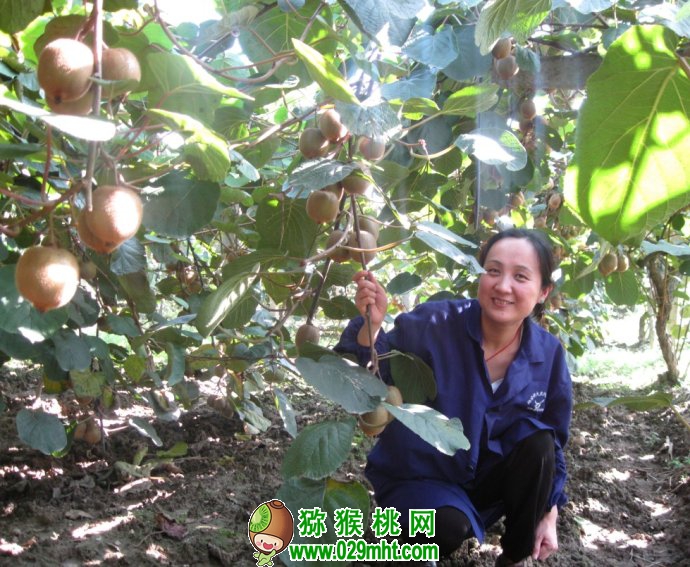 PG国际官方网站图片