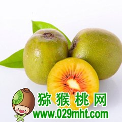 PG国际官方网站图片