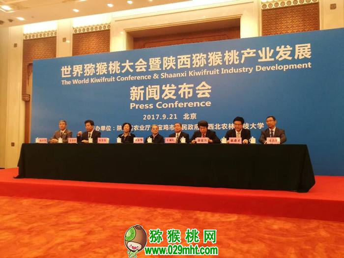 PG国际官方网站图片