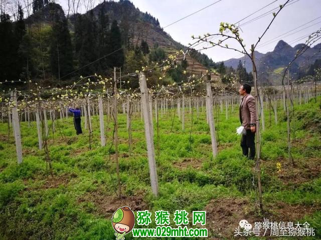 PG国际官方网站图片