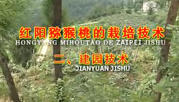 PG国际官方网站图片