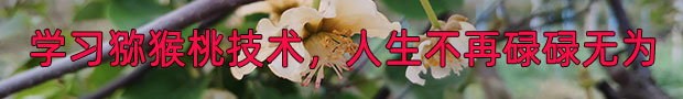 PG国际 0a0ff