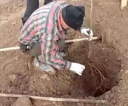 PG国际官方网站图片
