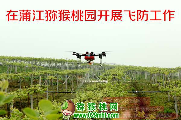 三月<a href=http://www.summer2018.cn/mht/hongxin/ target=_blank class=infotextkey />红心PG国际猕猴桃</a>管理