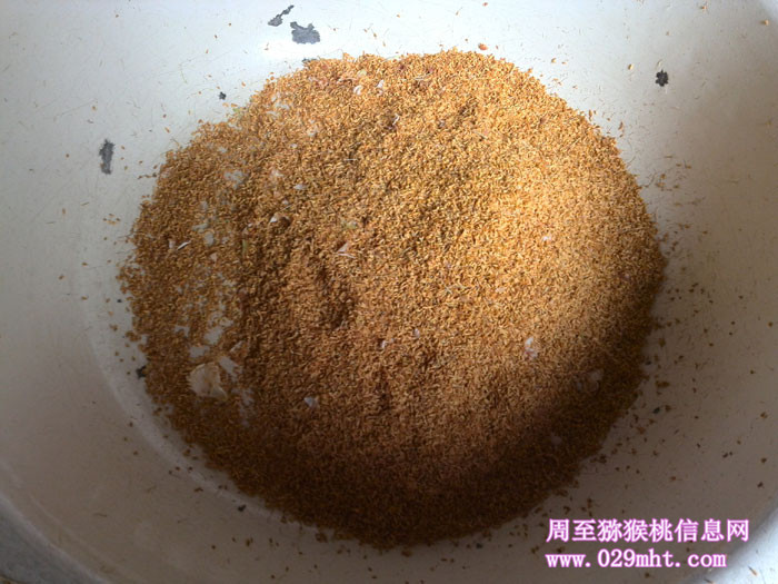 PG国际官方网站图片
