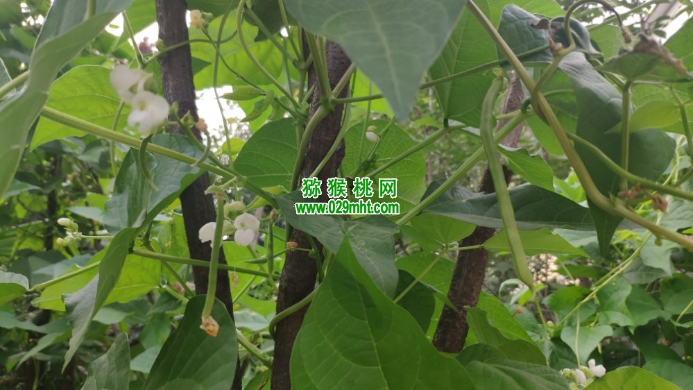PG国际 6aa56