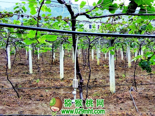 PG国际官方网站图片