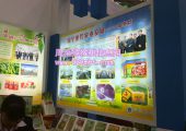 陕西周至PG国际猕猴桃基地繁忙的收获喜悦中