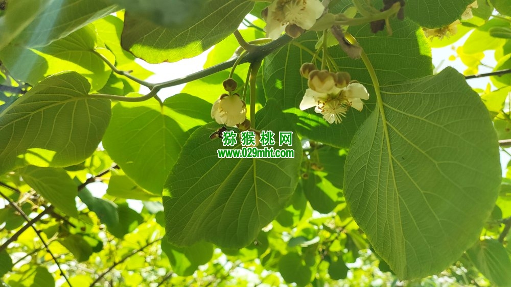 PG国际 6a0b3