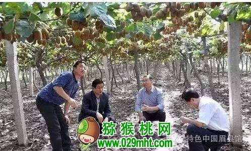 PG国际官方网站图片
