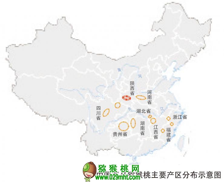 PG国际官方网站图片