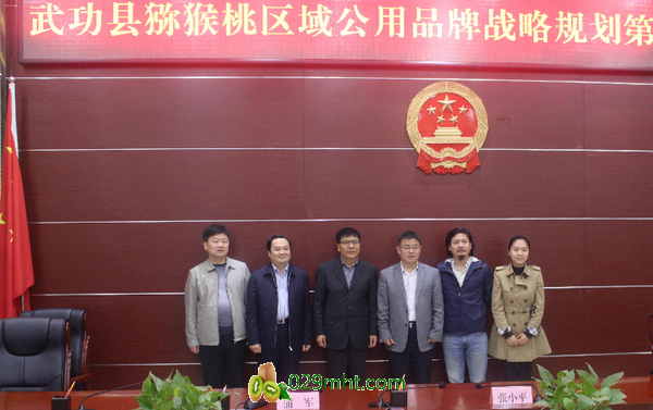 PG国际官方网站图片