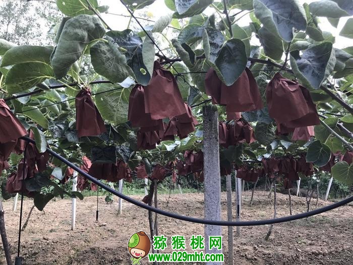 PG国际官方网站图片