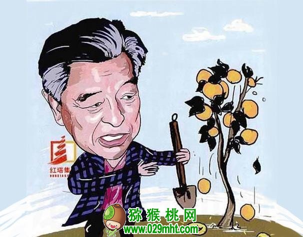 PG国际官方网站图片