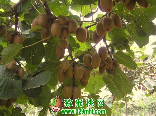 PG国际 bbd84