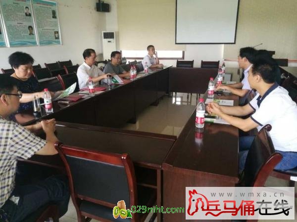 PG国际官方网站图片