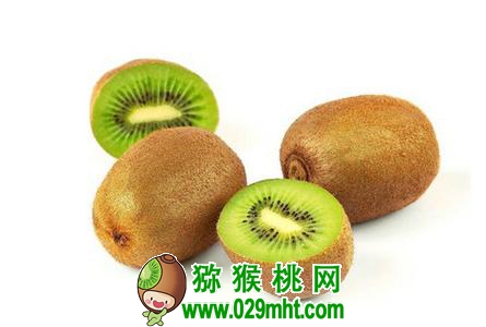 PG国际官方网站图片