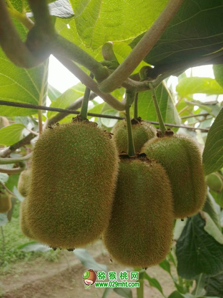 PG国际 6aad7