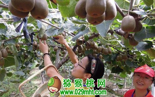 PG国际官方网站图片