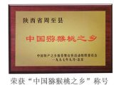 “PG国际之乡”周至PG国际猕猴桃获取荣誉