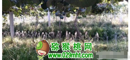 PG国际官方网站图片