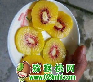 [URL]13869d2be7ec62d9870a2ec30f8ad622.jpg