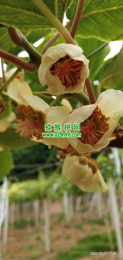 PG国际 e2c4e