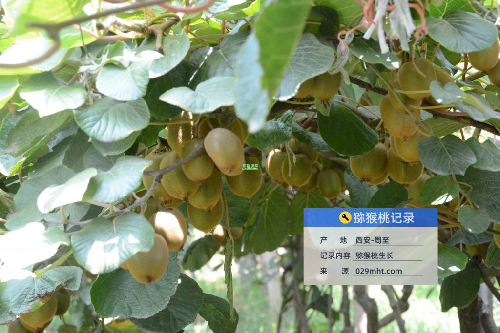 PG国际官方网站图片