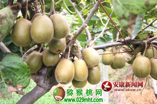 QQ图片20170927113847.jpg