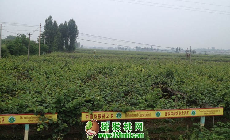 PG国际官方网站图片