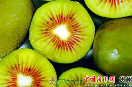 PG国际官方网站图片