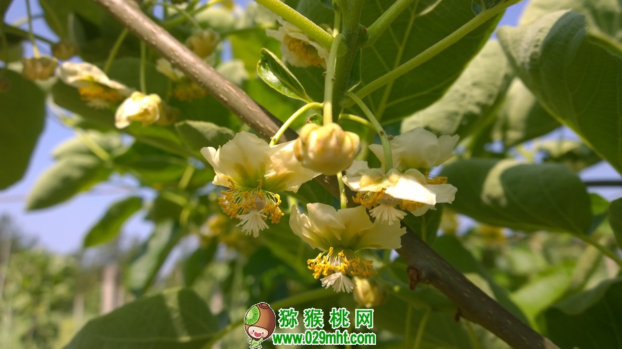 PG国际官方网站图片