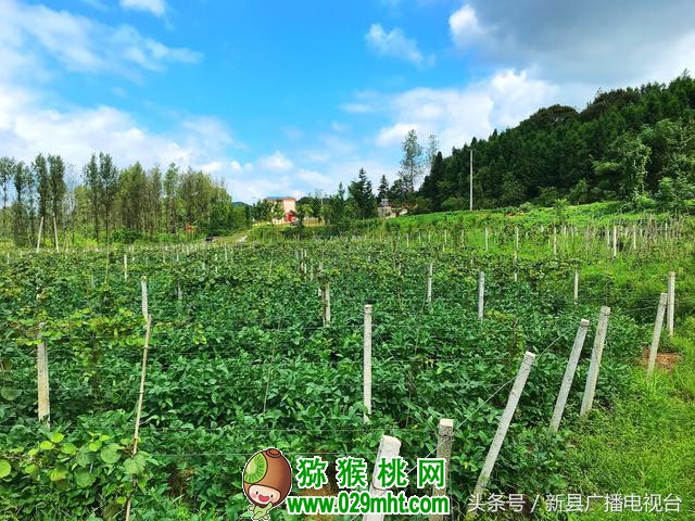 PG国际官方网站图片
