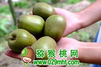 PG国际官方网站图片