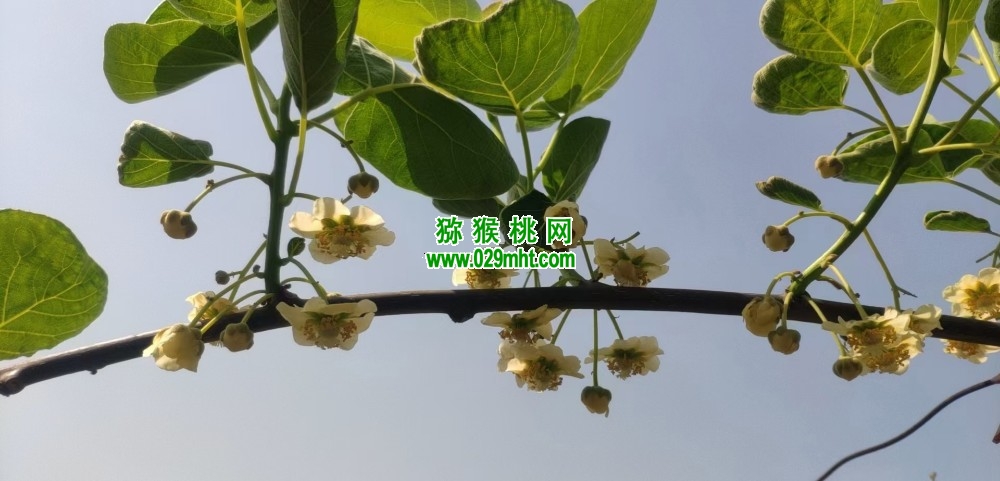 PG国际官方网站图片