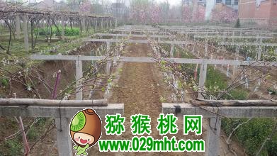 PG国际官方网站图片