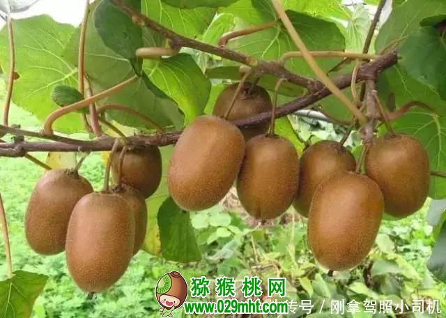 PG国际官方网站图片