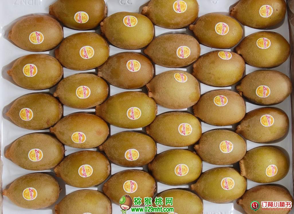 PG国际官方网站图片