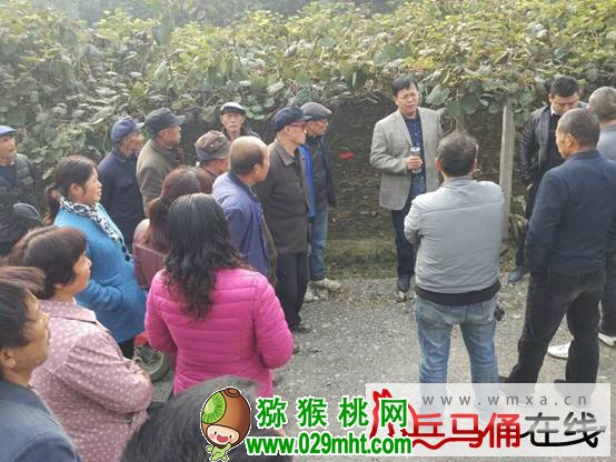 PG国际官方网站图片