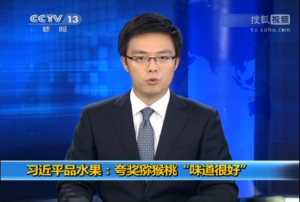PG国际官方网站图片