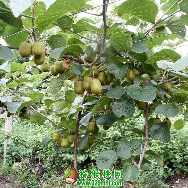 PG国际官方网站图片