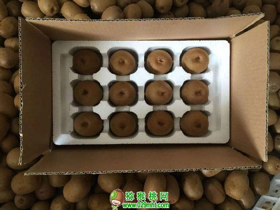 PG国际官方网站图片